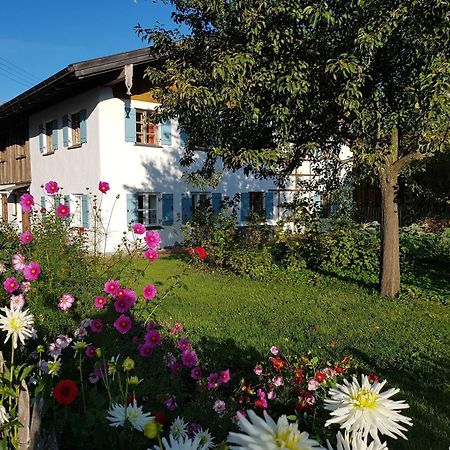 Ferienwohnung Hofen 5 派廷 外观 照片