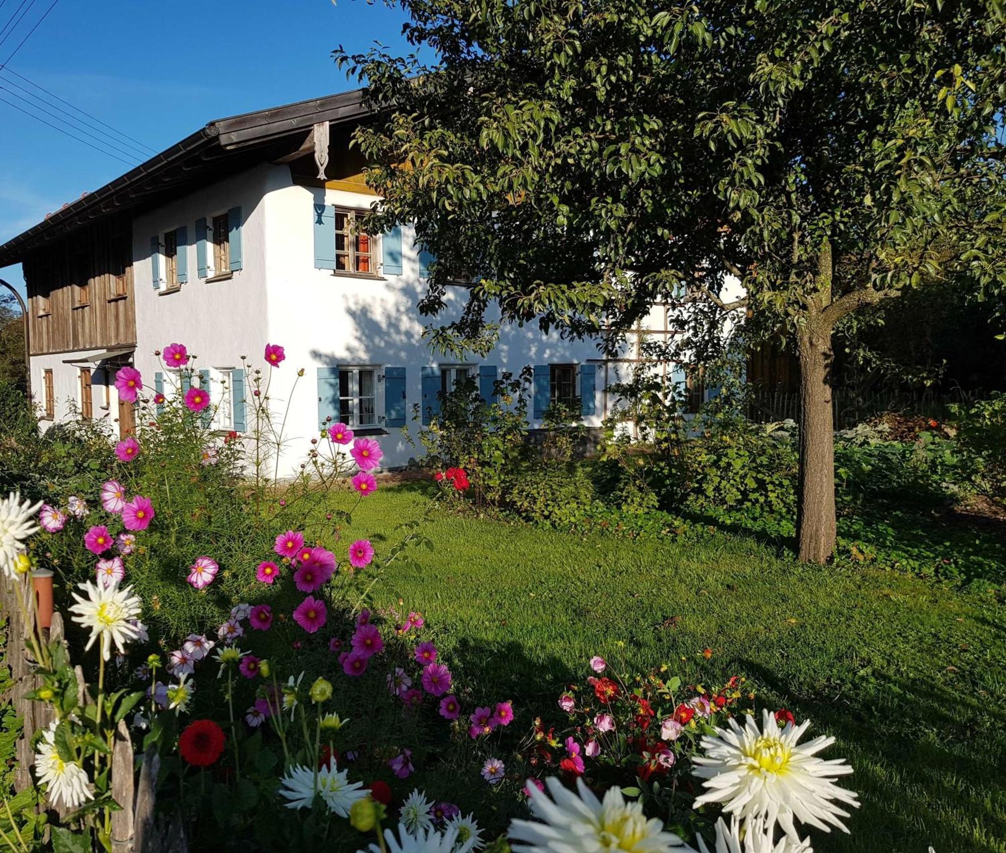 Ferienwohnung Hofen 5 派廷 外观 照片