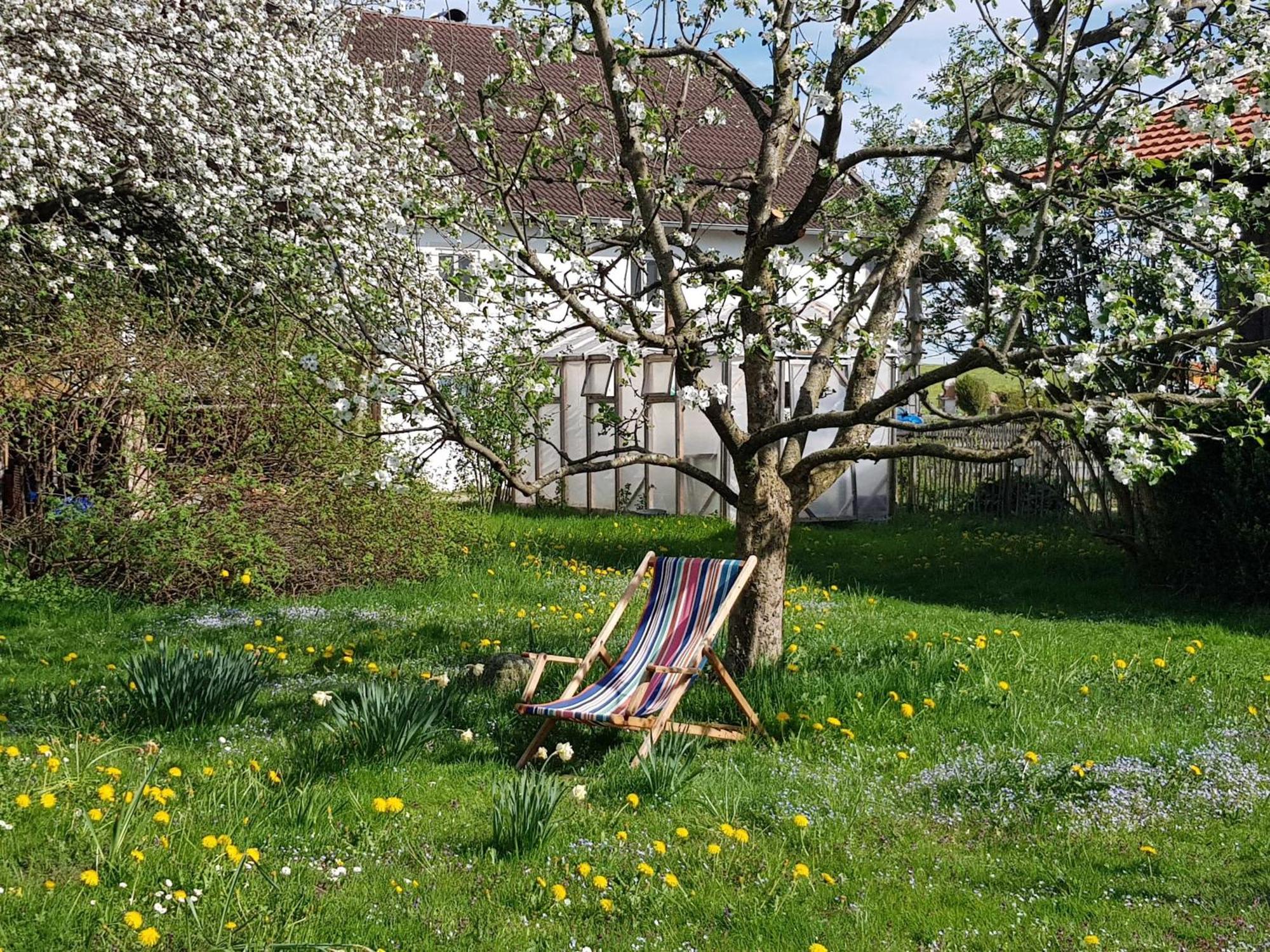Ferienwohnung Hofen 5 派廷 外观 照片